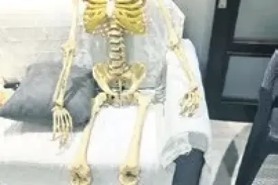 Evinize iskelet alır mıydınız?