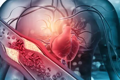 Kolesterolün asıl nedeni buymuş! Kalbi en çok yoran besinler açıklandı