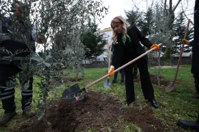 11 il için 11 fidan, İstanbul Bakırköy’de toprakla buluştu