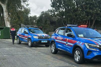 Bodrum'da 2 köpek tüfekle vurularak öldürüldü; 1 gözaltı