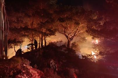 Bodrum’da ormanda çıkan yangın söndürüldü