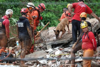 Brezilya'daki sel ve toprak kayması: 59 ölü, 15 kayıp