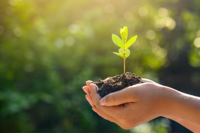 Erzurum'da 'Uzlaştırma Ormanı' oluşturulacak