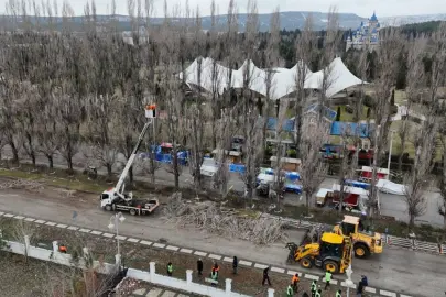Eskişehir Büyükşehir'den ağaçlara gençleştirme çalışması