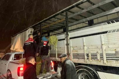 Hayvanlar aç kalmasın diye imdada yetiştiler