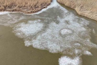 Iğdır’da donan Karasu Sazlığı’nda buzlar eriyor