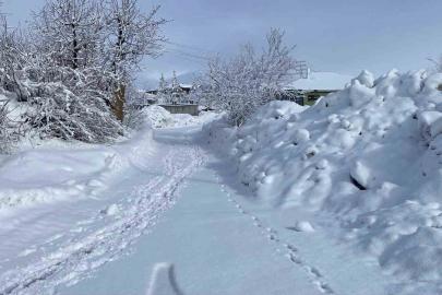 Karlıova’da kar yağışı etkisini sürdürüyor