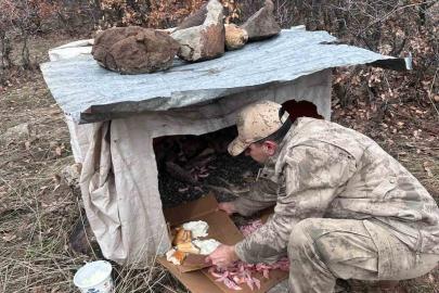 Köy yoluna bırakılan yavru köpeklere jandarmandan şefkat eli