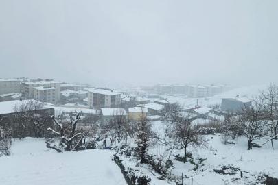 Kulp'ta şubat ayının son günlerinde kar yağışı etkili oldu