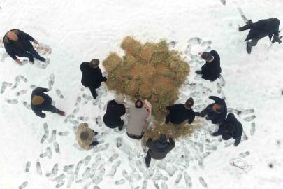 Muş’ta yaban hayatı için doğaya yem bırakıldı