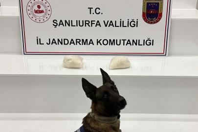 Şanlıurfa’da 2 kilogram sentetik uyuşturucu ele geçirildi
