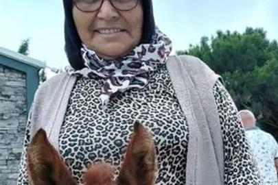 Teravihe giderken kamyonet çarptı, hayatını kaybetti