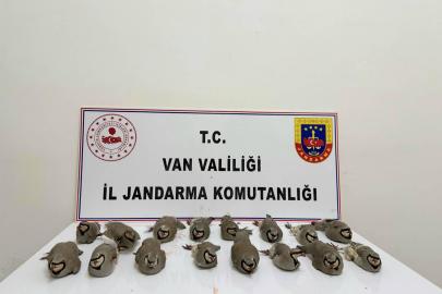 Van’da kınalı keklik avcılarına 246 bin TL ceza