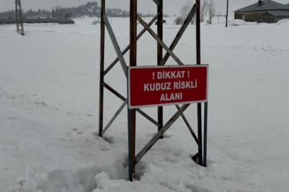 Yüksekova’da kuduz alarmı: Ekiplerin müdahalesiyle durum kontrol altına alındı