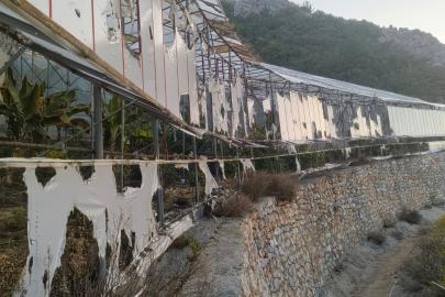 Muz serasının kundaklanmasına 3 tutuklama