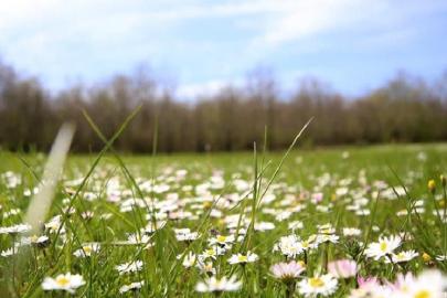 Son cemre toprağa düştü