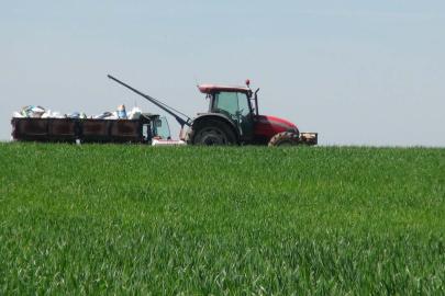 Tarım Müdürlüğü'nden uyarı: Yağışlar hastalık riskini artırıyor