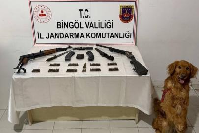 Bingöl’de silah ve mühimmat ele geçirildi: 1 gözaltı