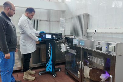 Buzağı ölümlerine "ozon tedavili" ve "yoğun bakımlı" çözüm