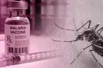 DSÖ'den sıtma uyarısı: Sıtmayı ortadan kaldırmak için şimdi yapabiliriz ve şimdi harekete geçmeliyiz