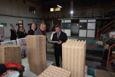 Erzincan’dan Türkiye’ye viyol üretimi