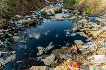 Prof. Dr. Ünüsan'dan mikroplastik uyarısı: Bitki bazlı çözümler umut veriyor ancak...