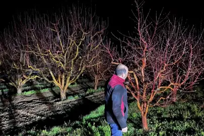 Zirai don alarmı! Ekipler sahada