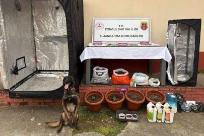 Zonguldak’ta uyuşturucu operasyonları: 8 şüpheli tutuklandı