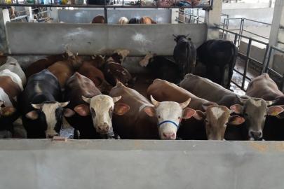Bursa'da kurban pazarlarında doluluk yüzde 100'e ulaştı
