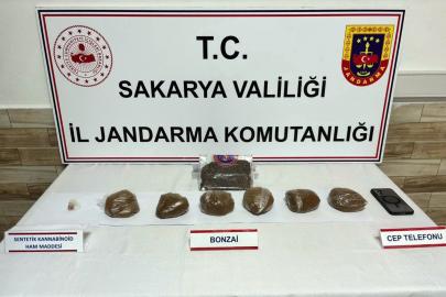 Sakarya'da uyuşturucu operasyonu: 2 tutuklama