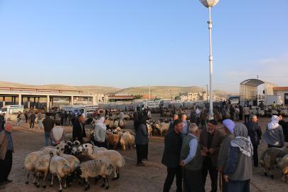 Şanlıurfalı besicilerden kurban piyasasına ilişkin değerlendirme