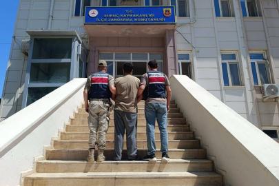 Dolandırıcılık suçundan aranan hükümlü Suruç'ta yakalandı