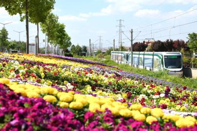 Konya’da park ve caddeler çiçeklerle renklendirildi