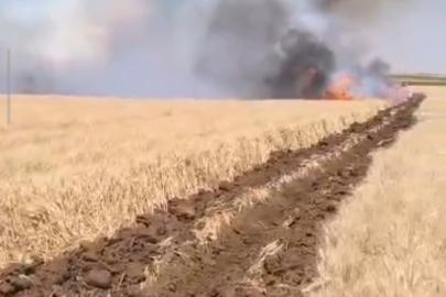 Mardin’de çıkan yangında 500 dönüm buğday ekili alan yandı