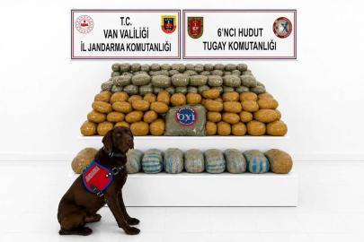 Van'da 291 kilo toz esrar ele geçirildi: Bir tutuklama