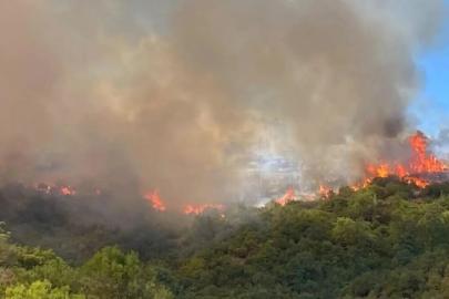 Çanakkale'de orman yangını riskine karşı uyarı yapıldı