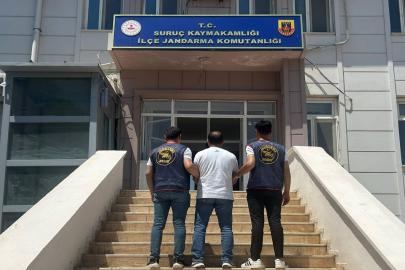 Şanlıurfa'da hırsızlık suçundan aranan hükümlü yakalandı