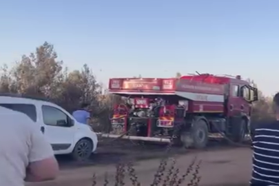 Gaziantep'te ormanlık alanda çıkan yangın büyümeden söndürüldü