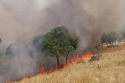 Pervari’de örtü yangınına havadan müdahale sürüyor