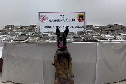 Samsun'da tırda 132 kilogram toz esrar ele geçirildi