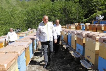 Arıcılık desteklerine yüzde 80 zam: Kovan başına destek 475 TL’ye kadar çıktı