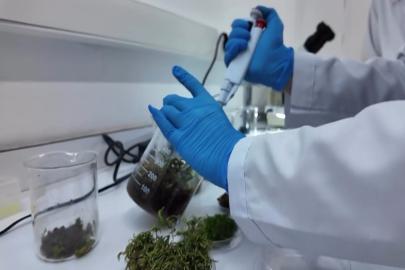 Gıda aromalarında yeni düzenleme 