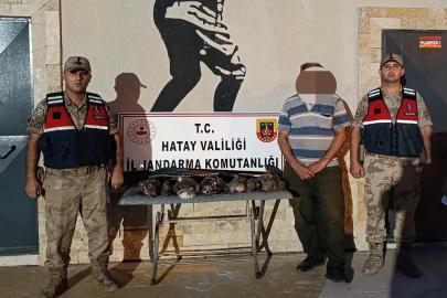 Hatay’da 7 arı şahini vuran kişiye 1 milyon 356 bin lira ceza