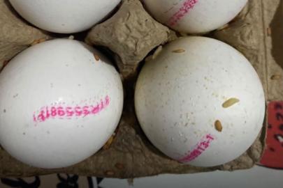 Karabağlar'da marketten alınan yumurtalar kurtlu çıktı iddiası