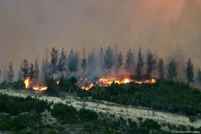 Kozan’da orman yangını