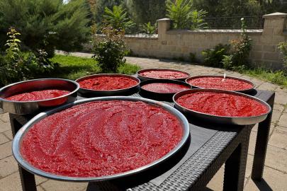 Malatya'da yazın bereketi kış sofraları için hazırlanıyor