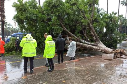 Meteoroloji'den uyarı: 5 bölgede kuvvetli rüzgâr bekleniyor