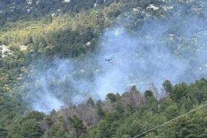 Muğla'da orman yangını: Havadan ve karadan müdahale sürüyor