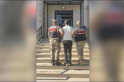 Şanlıurfa'da bağ evinden hırsızlık şüphelisi tutuklandı