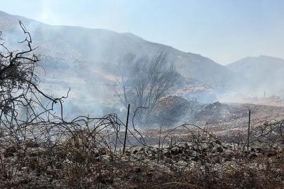 Siirt’te Zarova’da yangın: Ekipler alevlere müdahale ediyor